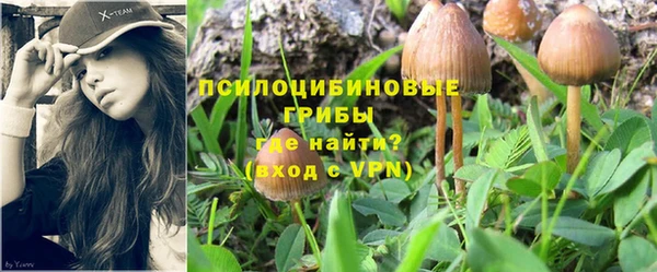 каннабис Алексин