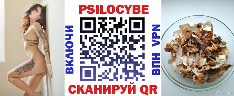 гидра онион Райчихинск Галлюциногенные грибы Psilocybe