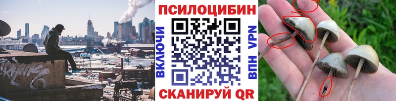 Галлюциногенные грибы мухоморы Райчихинск